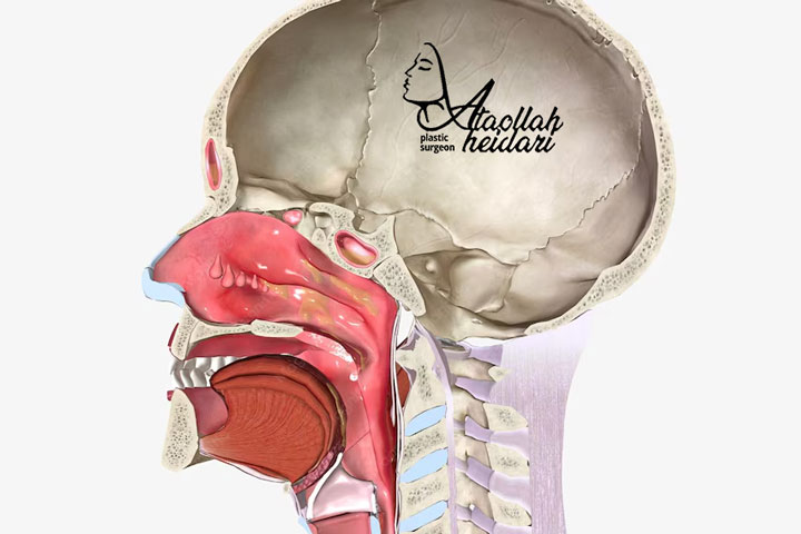 عوارض پولیپ بینی